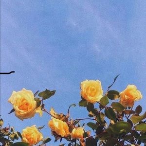 Meet your Posher, Tabassum